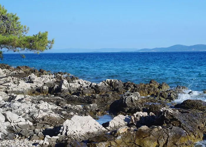 Dijana * Trogir