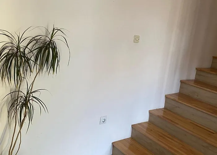 Apartamento Dijana *